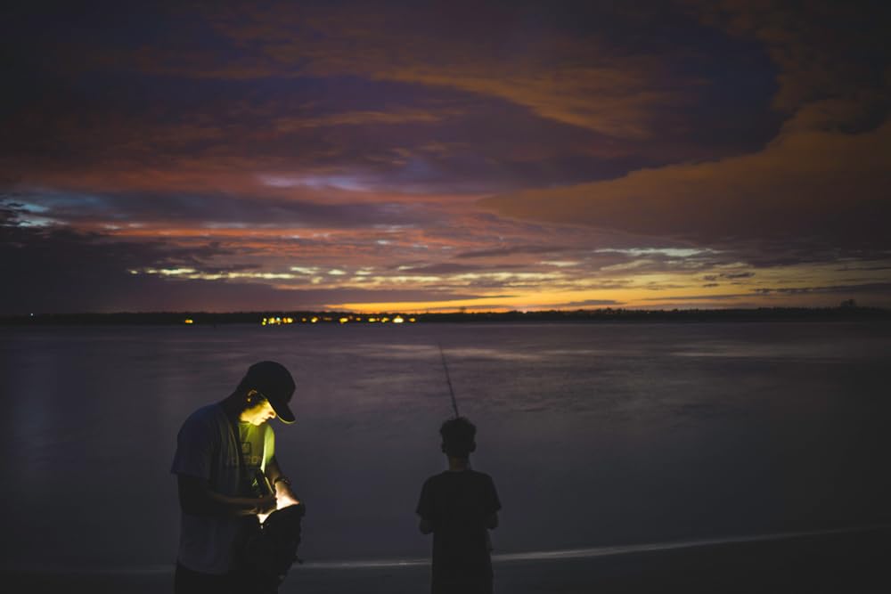 MagLite ML300L LED 2-Cell D Display Box, Black