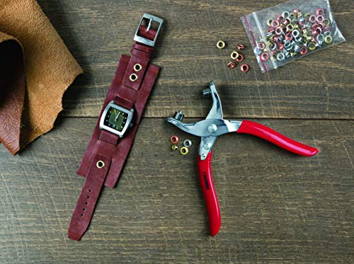 Arrow GEPK532 Eyelet Tool Kit, Hole Punch Pliers for Fabric, Leather, Canvas, Includes 100 Eyelets, 5/32-Inch, Gold,silver