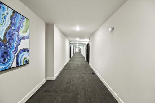 Lithonia Lighting Quantum LED Emergency Light, 2 Adjustable Heads, Ceiling/Wall Mount, White Thermoplastic, 120/277V Dual Voltage