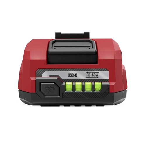 SKIL PWR CORE 12 12V Starter Kit Including 2.0Ah USB-C Battery and 20W PD Charger-CB5020A-11