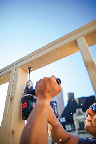 Bosch DSB1013 1 in. x 6 in. Daredevil® Standard Spade Bit