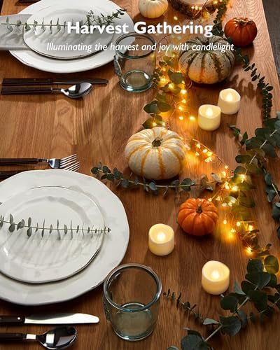 Homemory 12-Pack Flameless LED Tea Light Candles, 6H Auto Timer, Battery Operated Tealights for Table, Lanterns & Holiday Decor