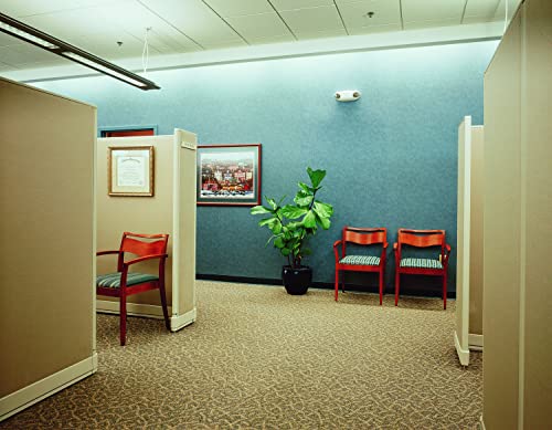 Lithonia Lighting Basics Low Profile LED Emergency Light, Ceiling or Wall Mount, Dual Voltage 120/277V, White Thermoplastic (EU2L M12)