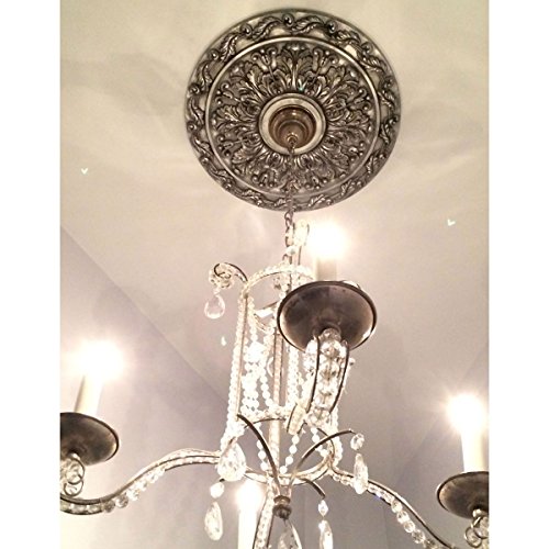 Ekena Millwork CM19SP 19 7/8-Inch OD x 3 5/8-Inch ID x 1 1/4-Inch P Spring Leaf Ceiling Medallion