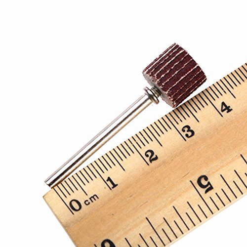 Dophee 10Pcs 240 Grit Flap Sanding Wheel Head Grinding Disc & 3mm Arbor for Rotary Tool, 10mm/0.39"