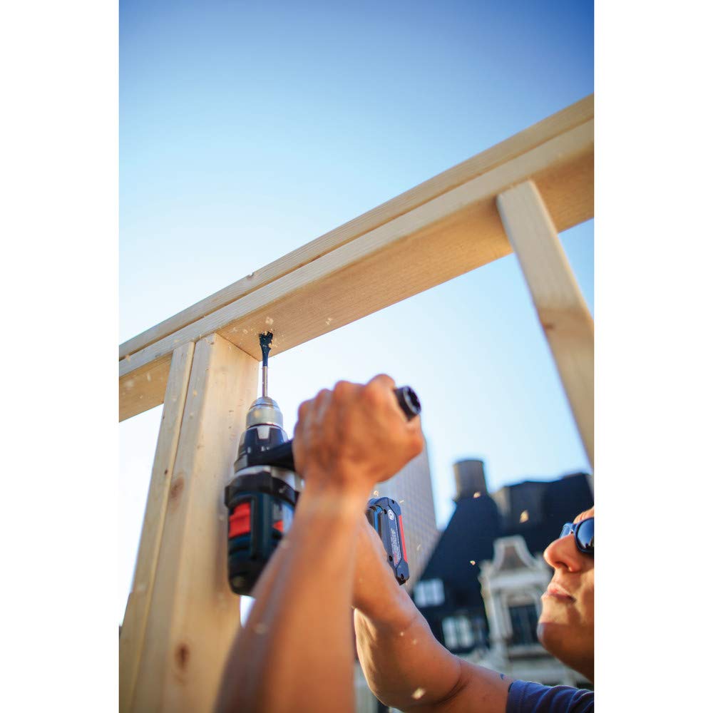 BOSCH DSB5012 12-Piece Assorted Set Daredevil Spade Bits, 1/4 in. Hex Shank Ideal for Fast Drilling Applications in Wood