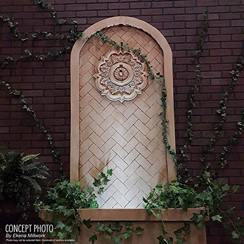 Ekena Millwork CM28BE 28 3/8"OD x 3 3/4"ID x 1 5/8"P Benson Classic Ceiling Medallion