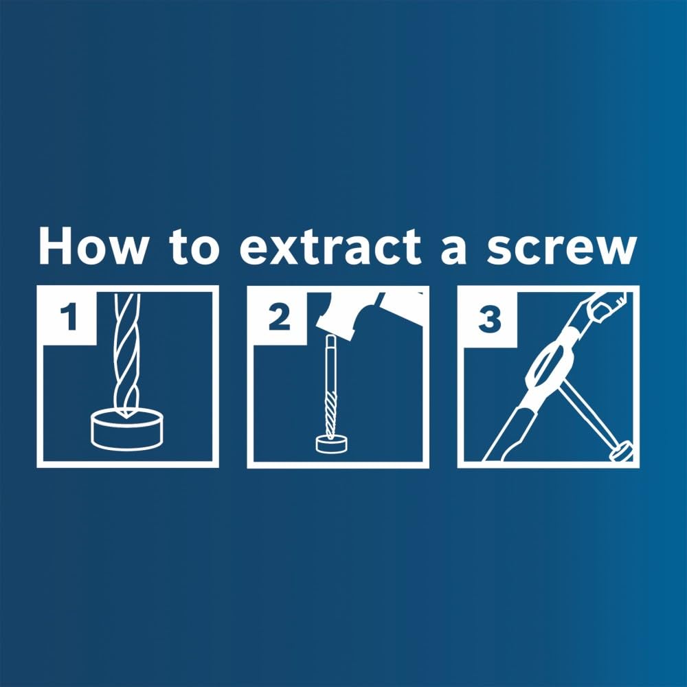 Bosch BSPE6D 12 pc. High-Carbon Steel Spiral Flute Screw Extractor Set