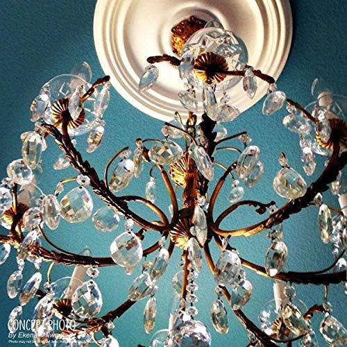 Ekena Millwork CM19SP 19 7/8-Inch OD x 3 5/8-Inch ID x 1 1/4-Inch P Spring Leaf Ceiling Medallion