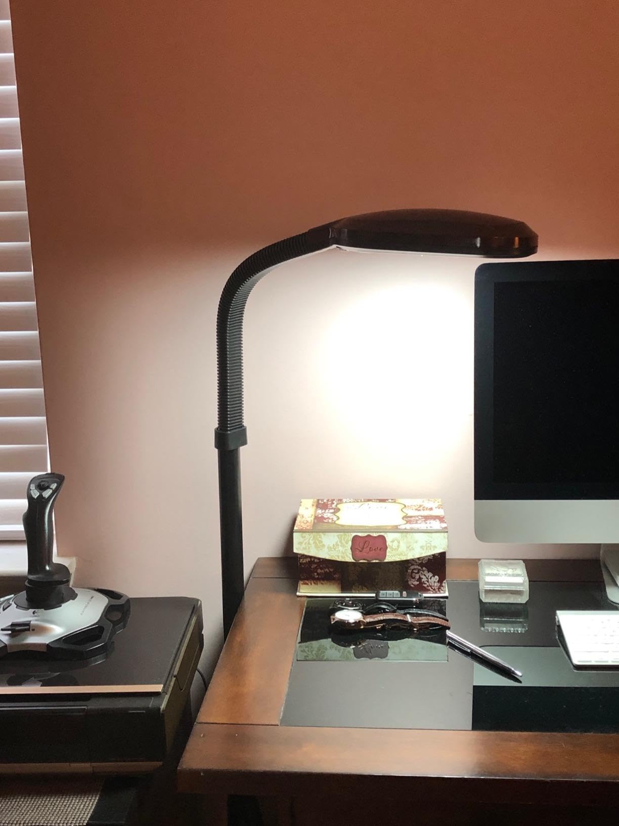 Brightech Litespan LED Floor Lamp - Adjustable Gooseneck Reading & Craft Light, Esthetician Lash Extension Lamp for Home & Office, Black