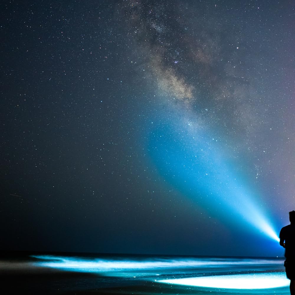 MagLite ML300L LED 2-Cell D Display Box, Black