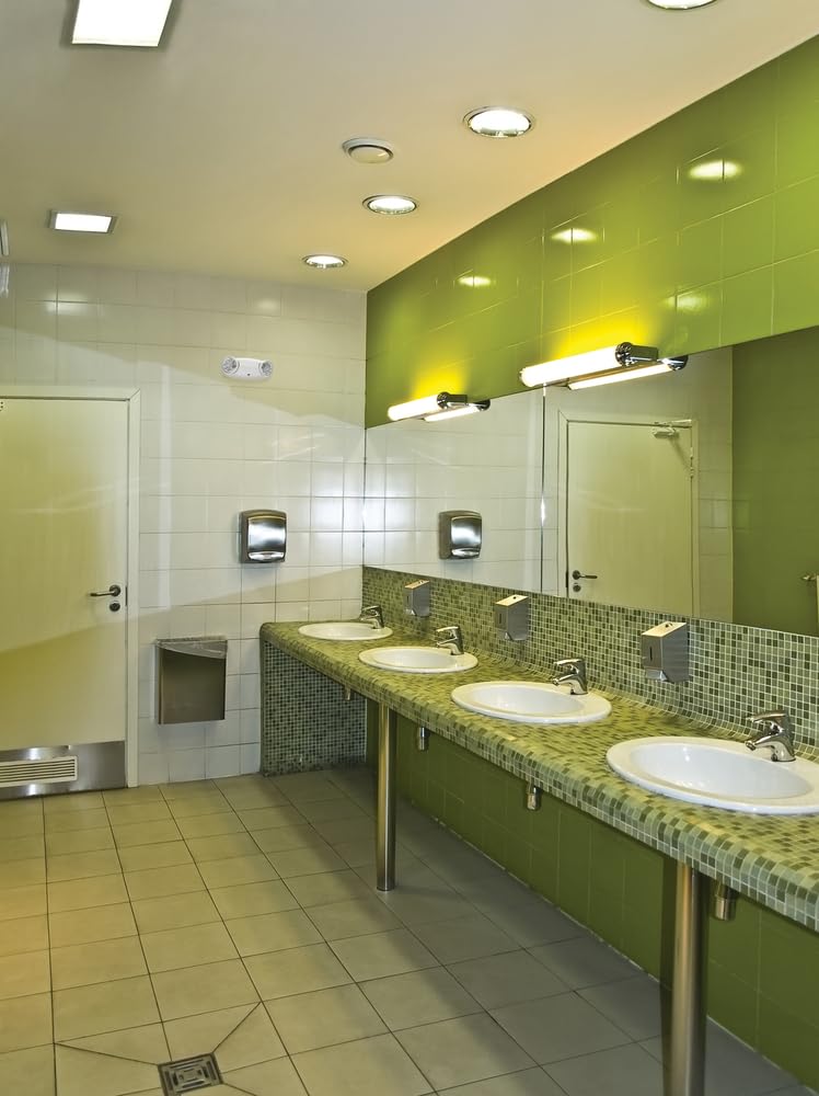 Lithonia Lighting Quantum LED Emergency Light, 2 Adjustable Heads, Ceiling/Wall Mount, White Thermoplastic, 120/277V Dual Voltage