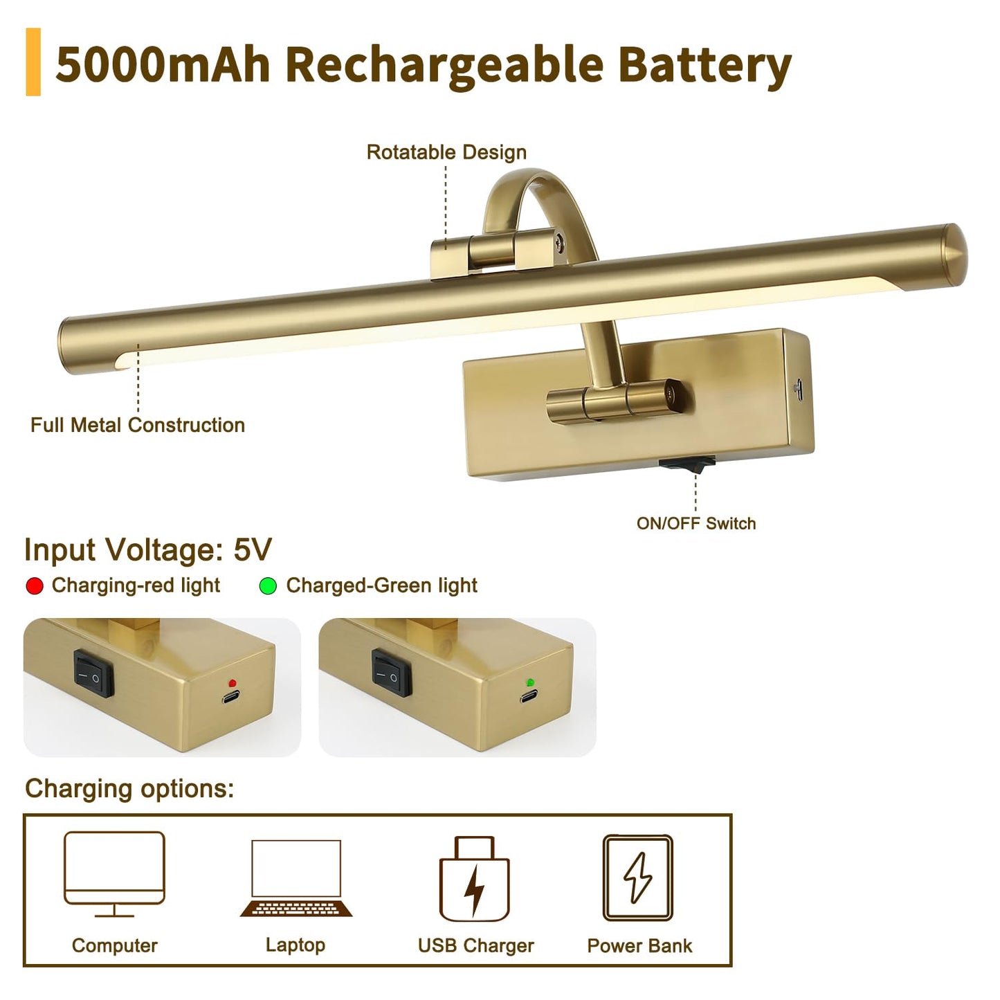 DESOOP 16" Battery Operated Picture Light with Remote & Timer – Wireless Dimmable Brass Art Lamp for Canvas, Portraits, Warm White