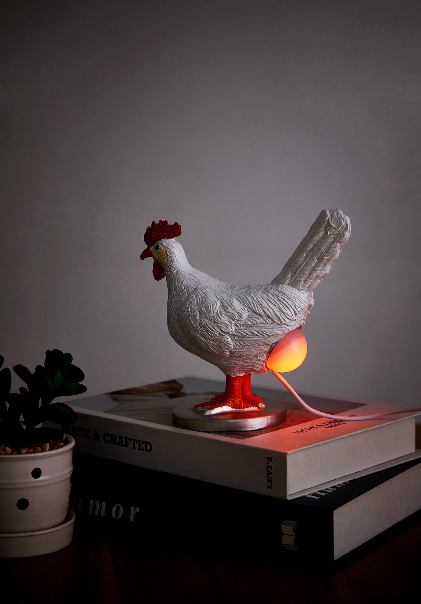 BooLai 3D Chicken Egg Lamp – 16-Color Remote LED Night Light, USB Powered, Resin Decor, Easter & Birthday Gift for Friends