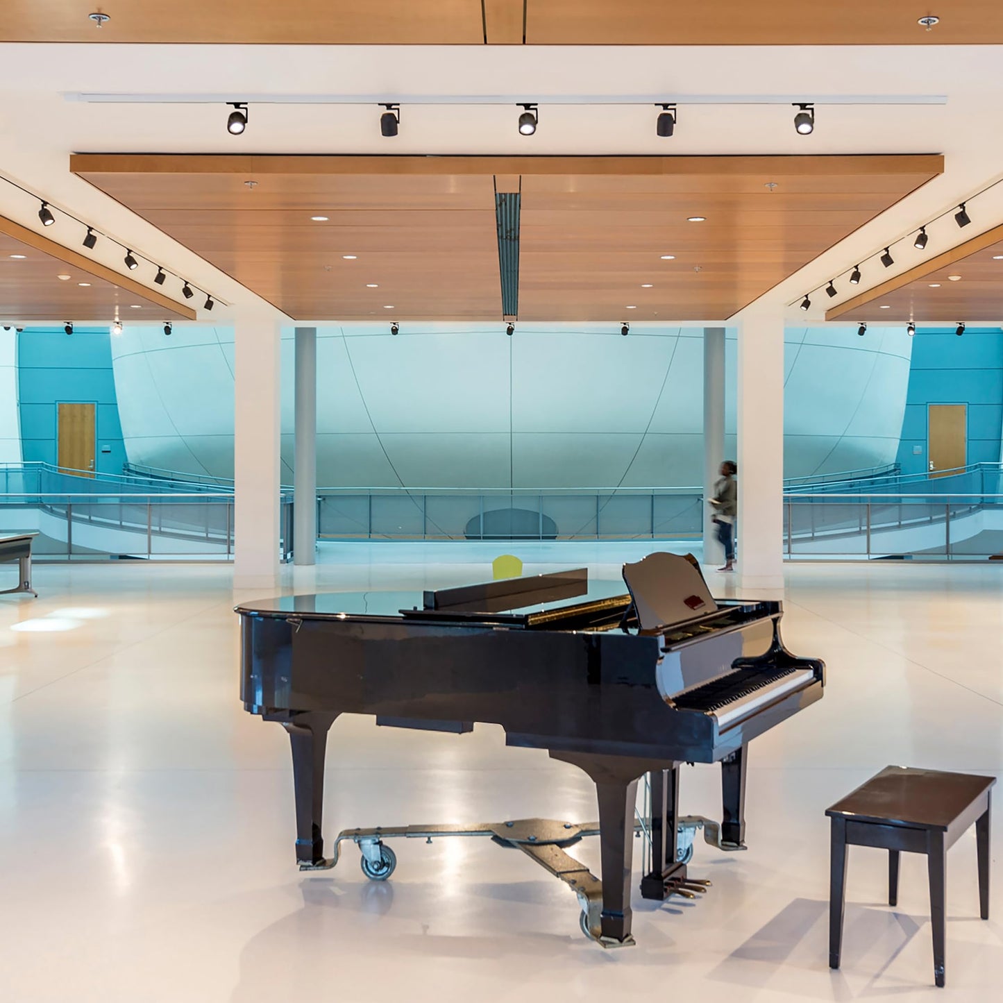 WAC Lighting H Track 8FT Single Circuit, 120V Field-Cuttable, Includes Power Feeds, Connectors & Endcaps, Black, Pack of 2