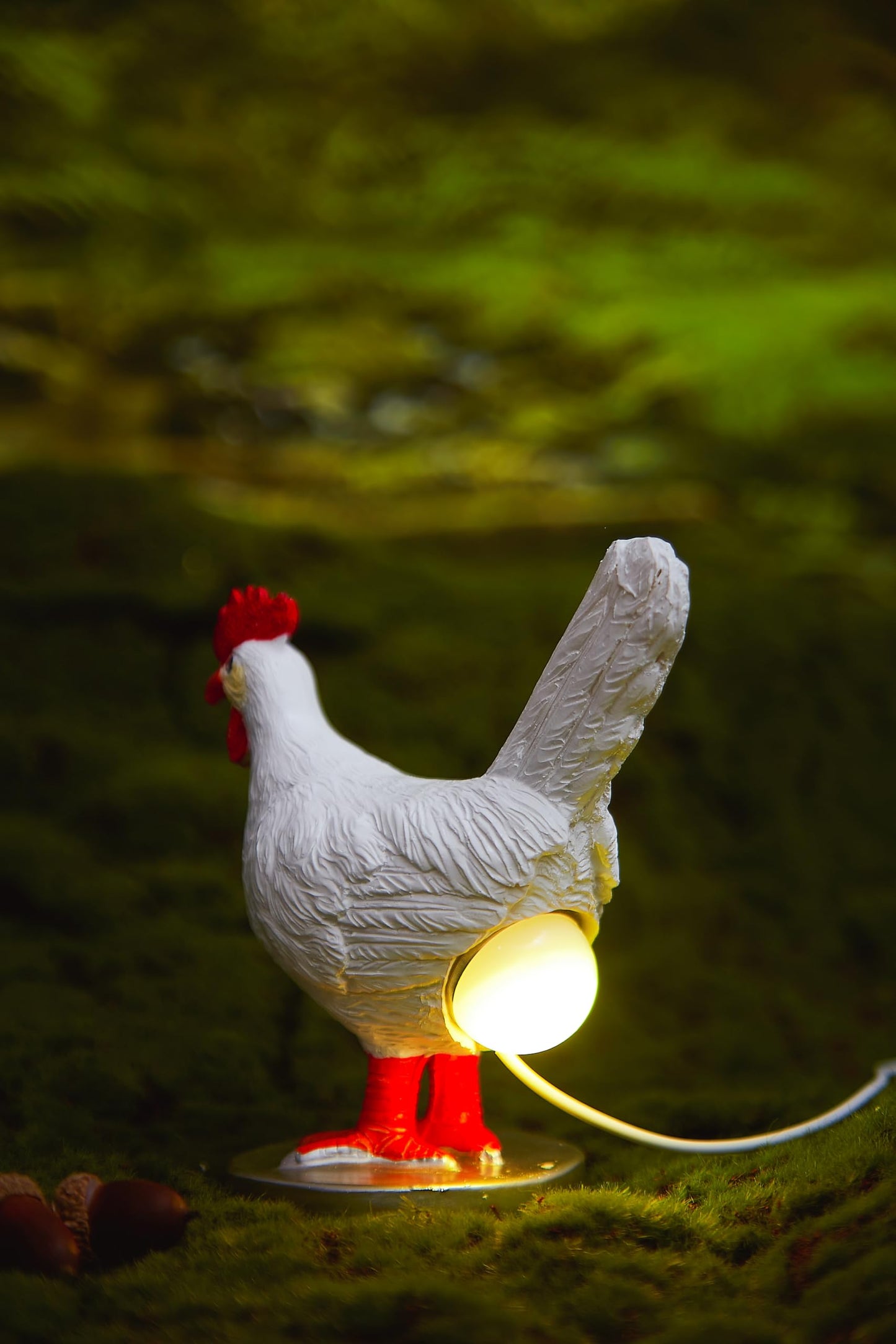 BooLai 3D Chicken Egg Lamp – 16-Color Remote LED Night Light, USB Powered, Resin Decor, Easter & Birthday Gift for Friends