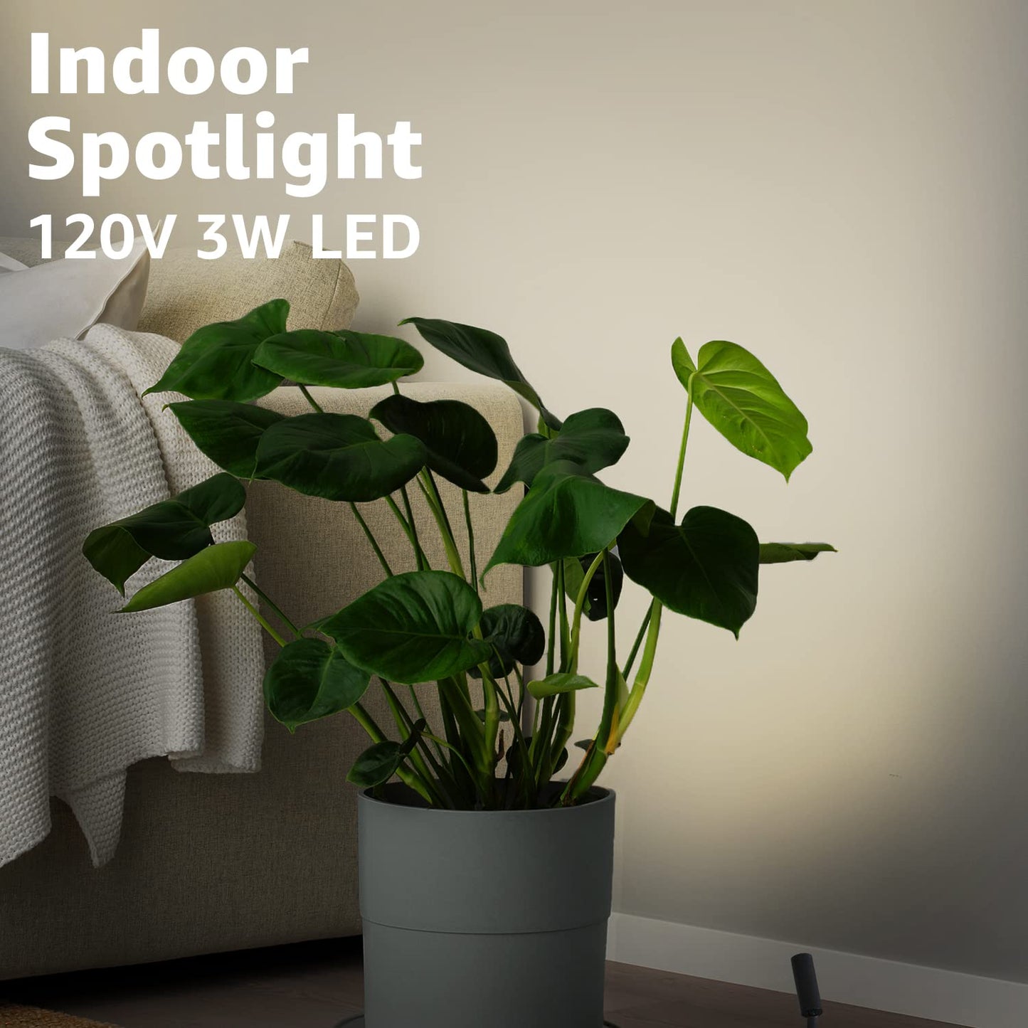URTOM 2-Pack LED Indoor Spotlight Uplights for Plants & Home | Warm White Floor Accent Lamps with 5.9ft Cord & Foot Switch