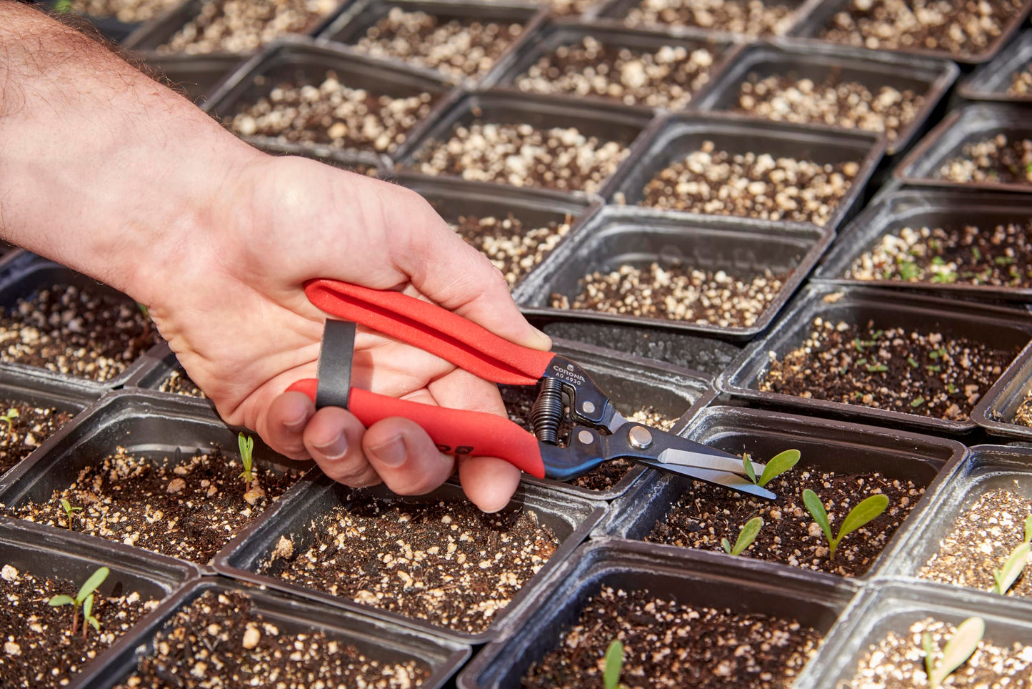 Corona AG 4930 Long Straight Snip, Tempered Steel