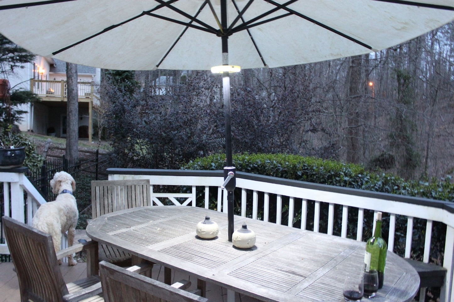 EcoGecko 2 Pack Super Bright LED Umbrella Pole Light, Battery Operated, White